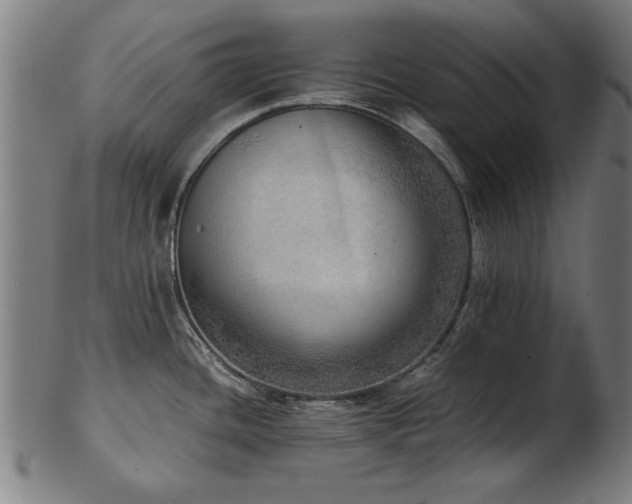 X0000103431436200809121320