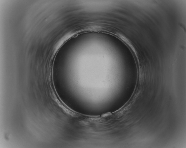 X0000103431437200809121320