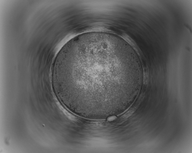 X0000103431438200809121320