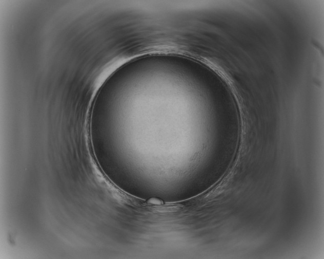 X0000103431440200809121320