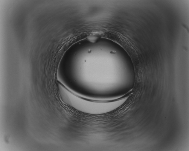 X0000103431441200809121319