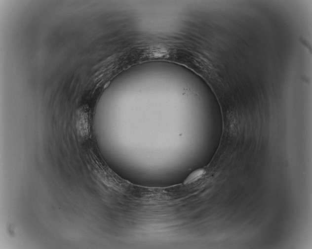 X0000103431442200809121319