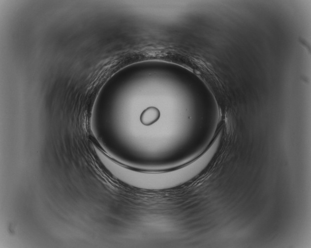 X0000103431444200809121319