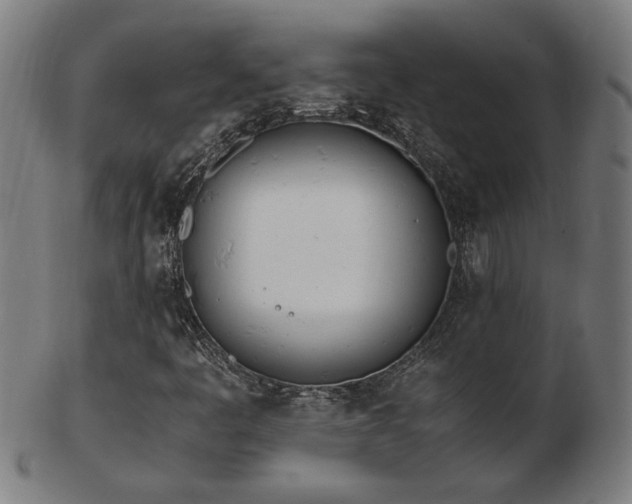 X0000103431445200809121319