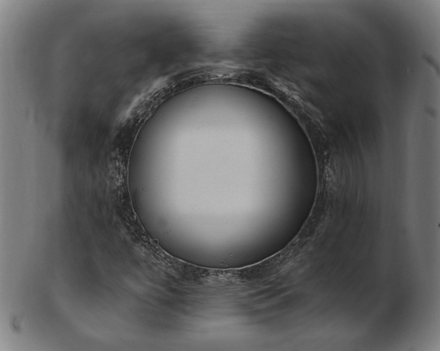 X0000103431447200809121319