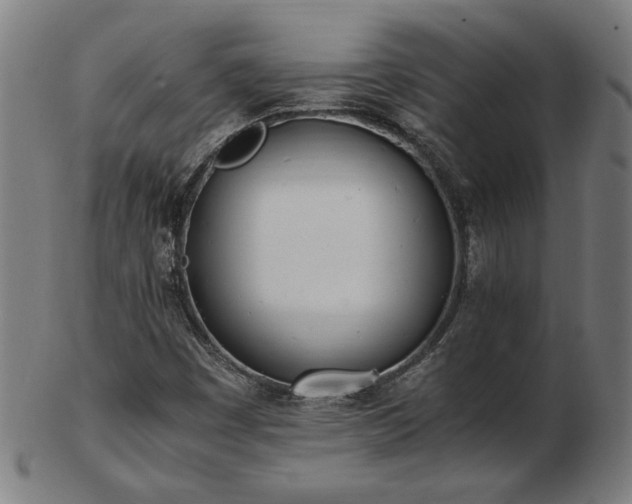 X0000103431449200809121319
