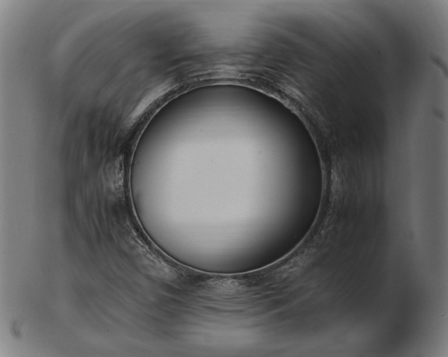 X0000103431450200809121319