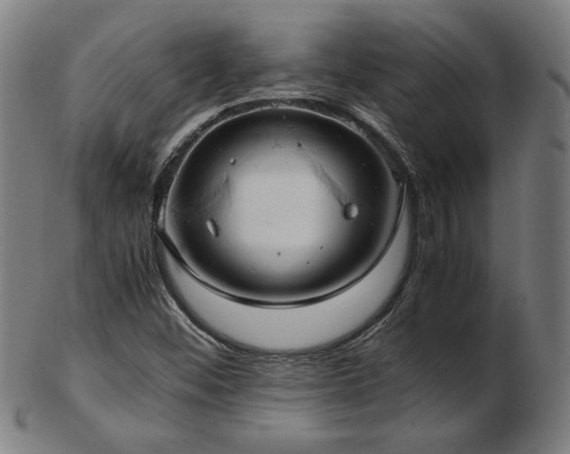 X0000103431452200809121319