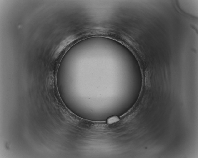 X0000103431453200809121319