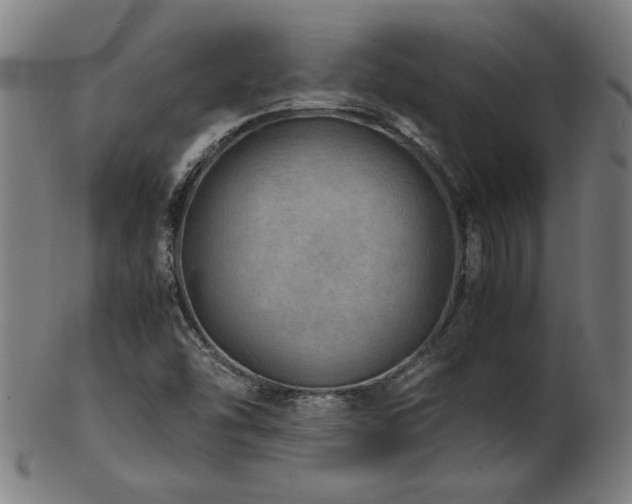X0000103431454200809121319