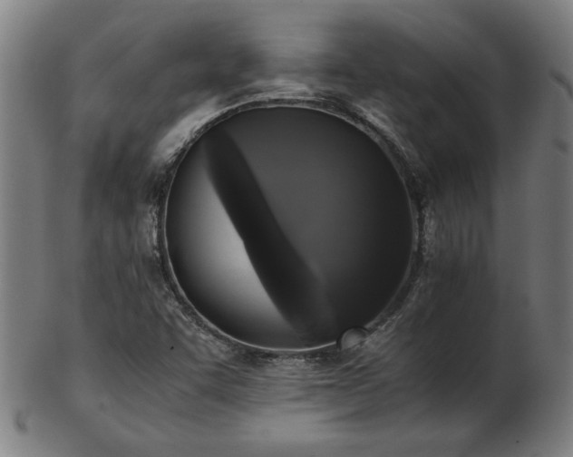 X0000103431455200809121319