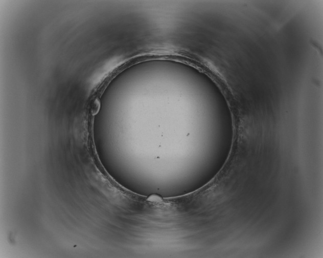 X0000103431456200809121319