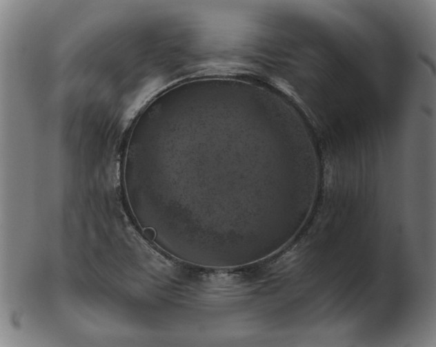X0000103431459200809121319