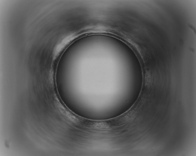 X0000103431464200809121318