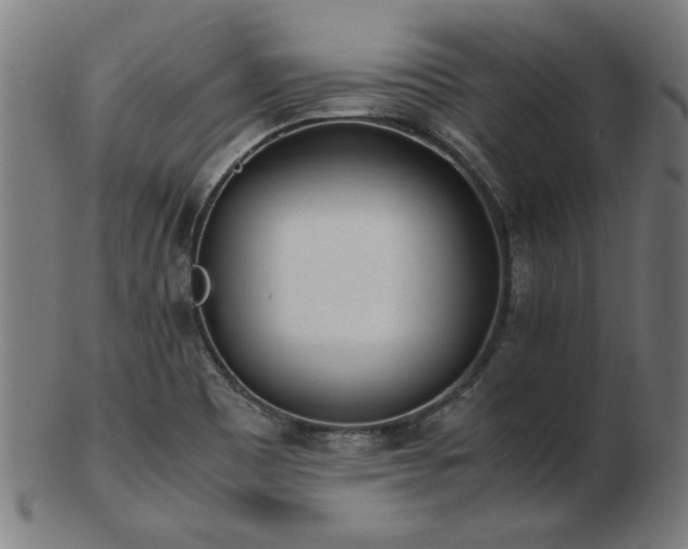 X0000103431465200809121318