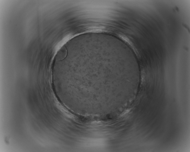 X0000103431467200809121318