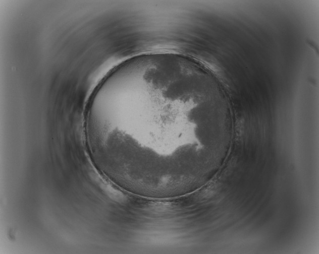 X0000103431470200809121318