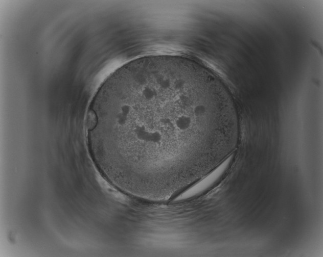 X0000103431471200809121318