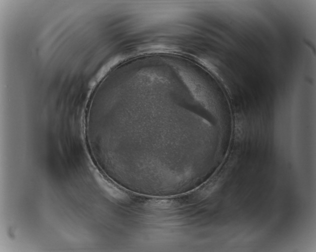 X0000103431474200809121318