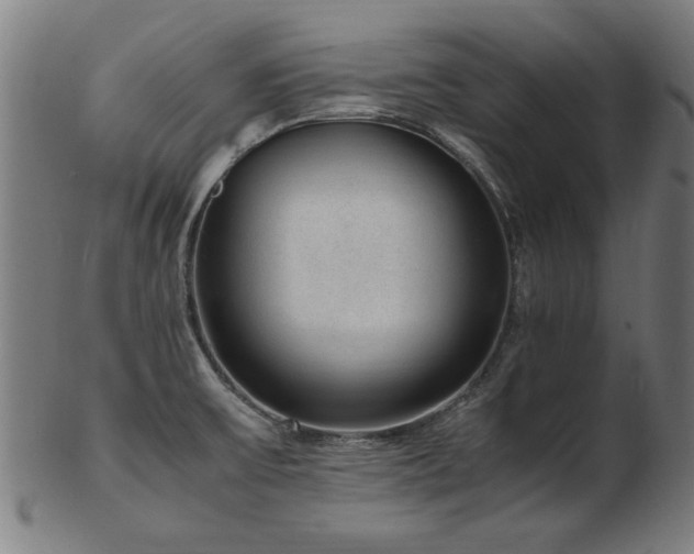 X0000103431475200809121318