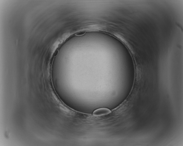 X0000103431477200809121318