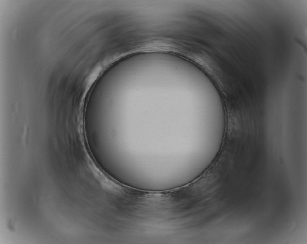 X0000103431478200809121318