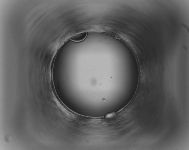 X0000103431479200809121318