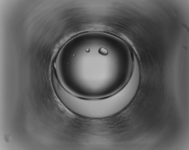 X0000103431480200809121318