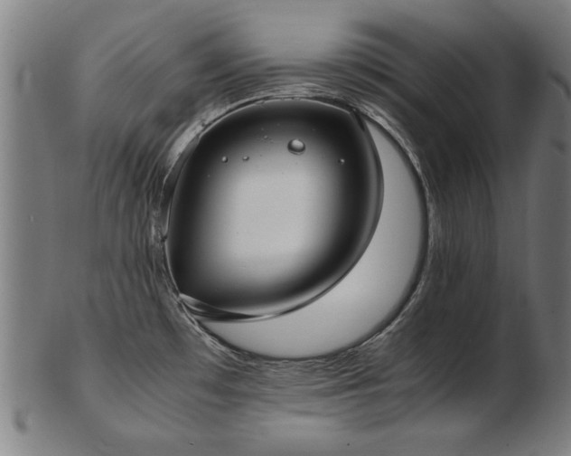 X0000103431481200809121318