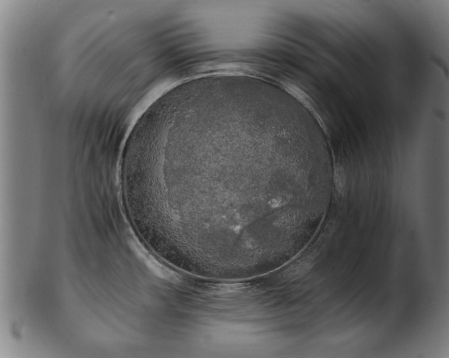 X0000103431482200809121318