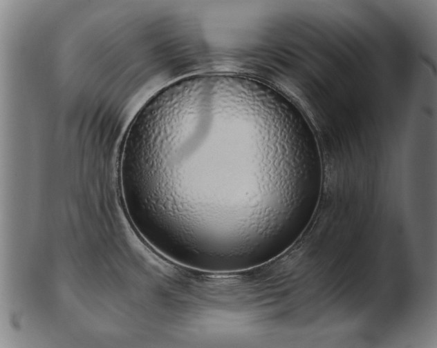 X0000103431483200809121318
