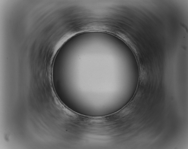 X0000103431486200809121318