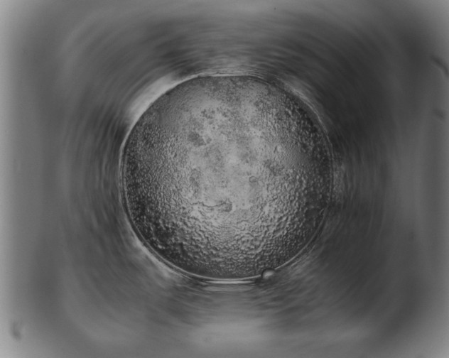 X0000103431487200809121318