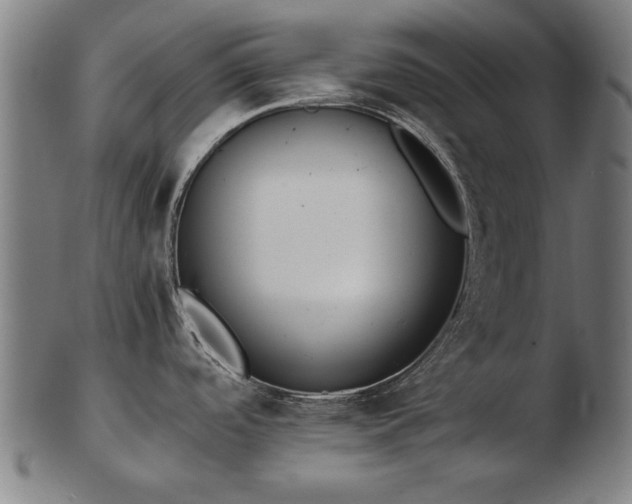 X0000103431488200809121318