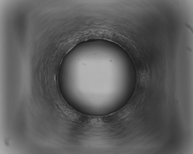 X0000103431489200809121318
