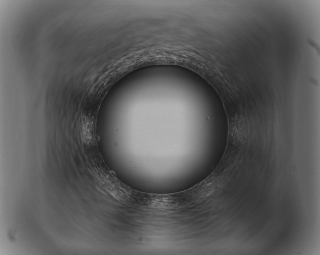 X0000103431490200809121318