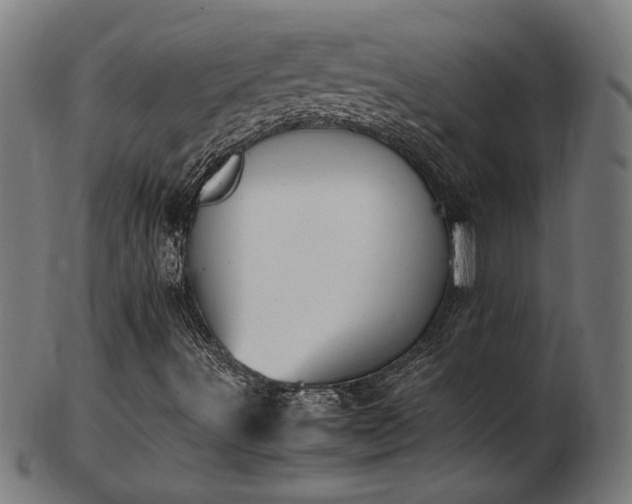 X0000103431491200809121318