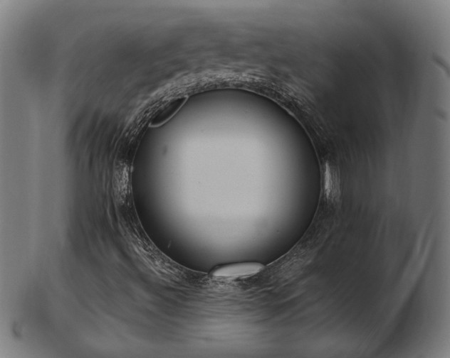 X0000103431492200809121318
