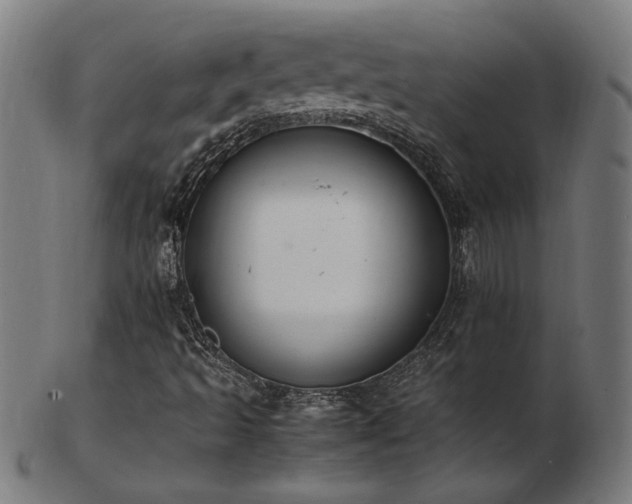 X0000103431493200809121318