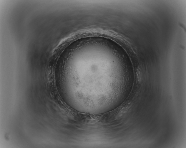 X0000103431494200809121318