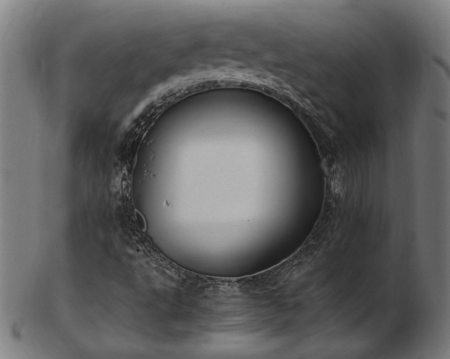 X0000103431495200809121318