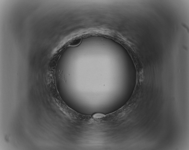 X0000103431496200809121318
