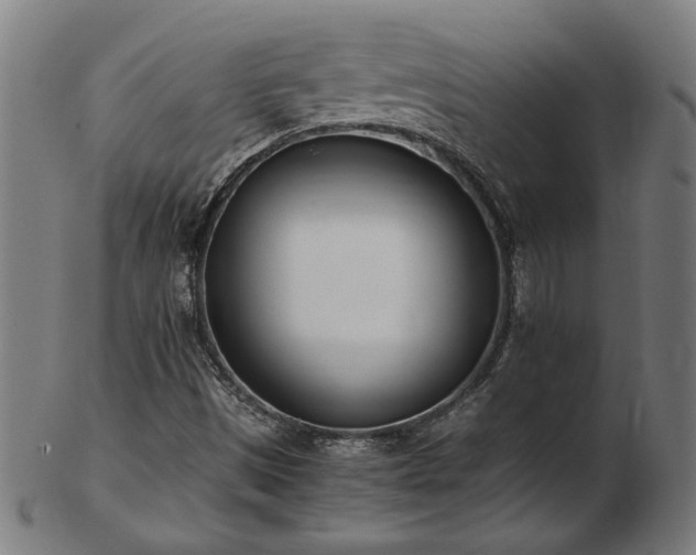 X0000103431497200809121318