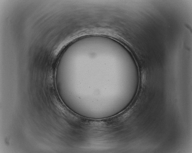 X0000103431498200809121318