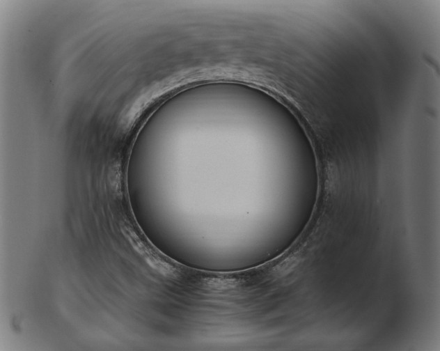 X0000103431499200809121318