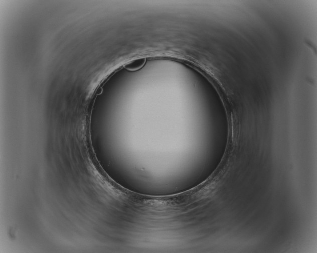 X0000103431500200809121318