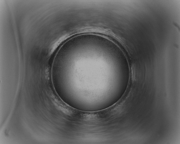 X0000103431501200809121318