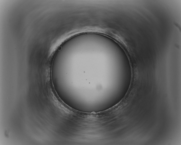 X0000103431504200809121318