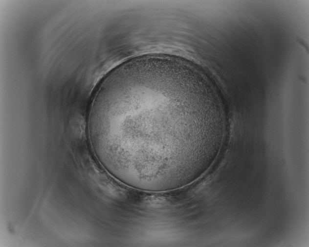 X0000103431505200809121318
