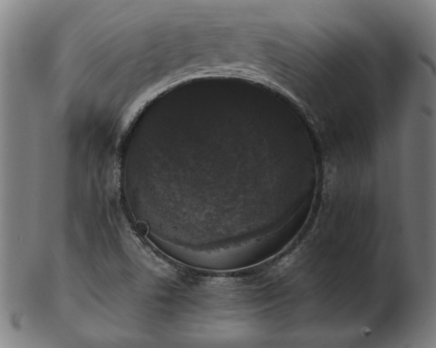 X0000103431506200809121318